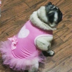 Meet your Posher, Ericka